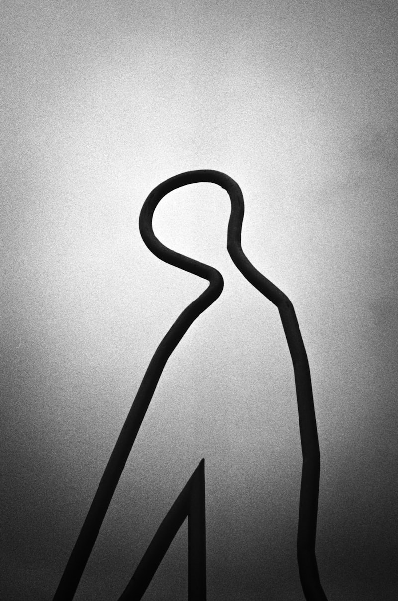 Ambiguous Image