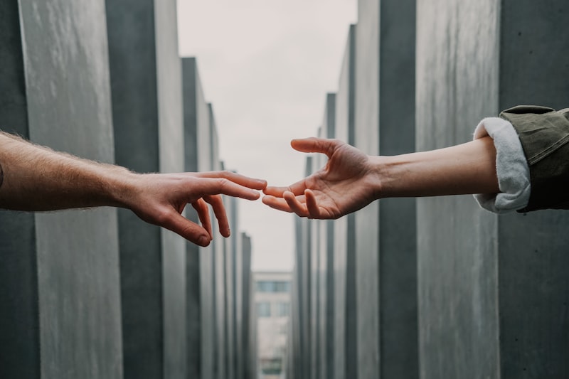 Attachment Theory: The Roots of Human Connection
