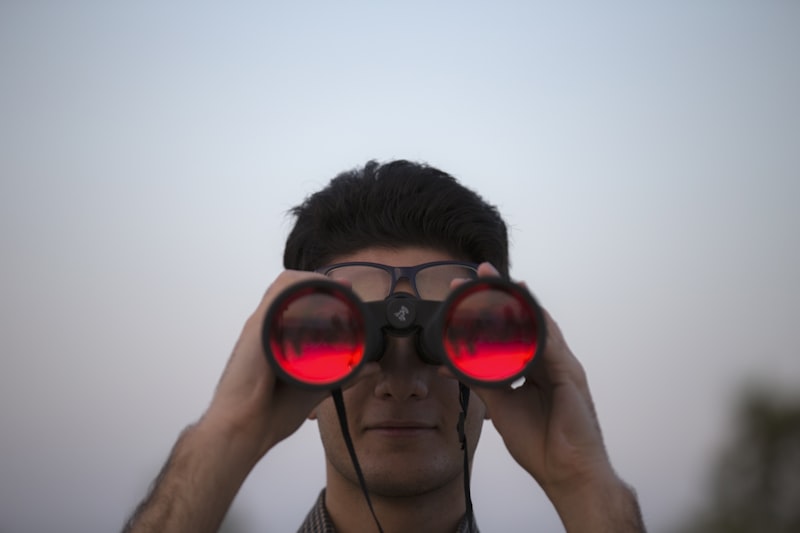 Binocular Rivalry