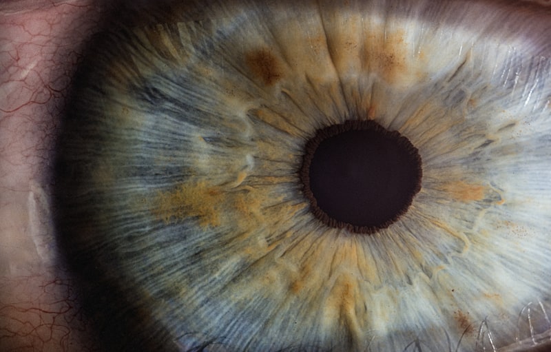 Closed-eye Hallucination