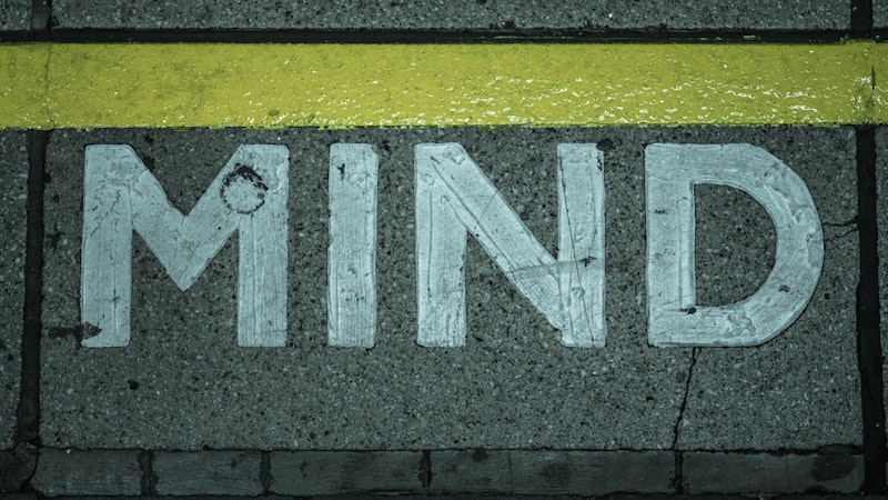 Cognition: How the Mind Solves Problems