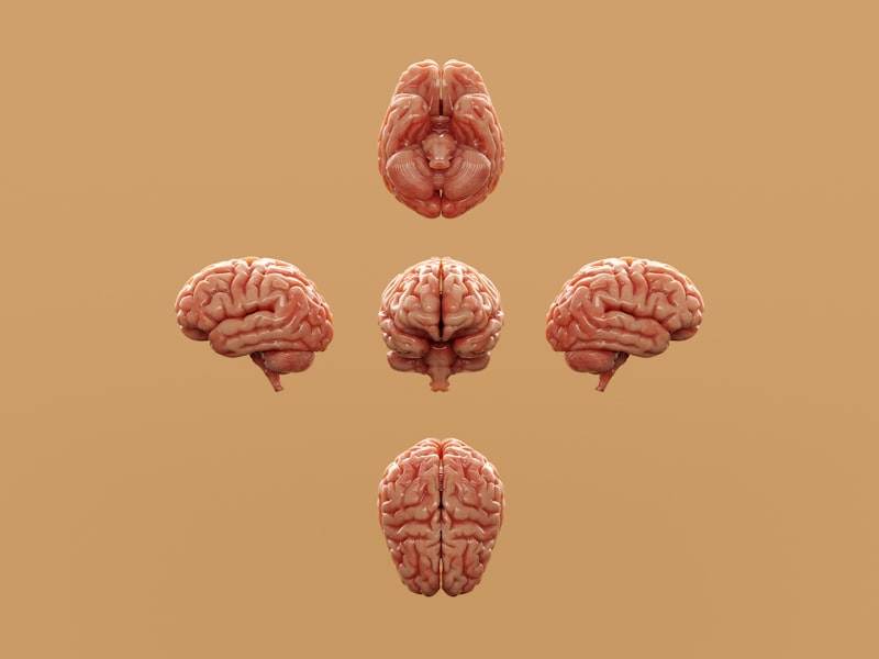 Cognitive Sex Differences: The IQ Myth
