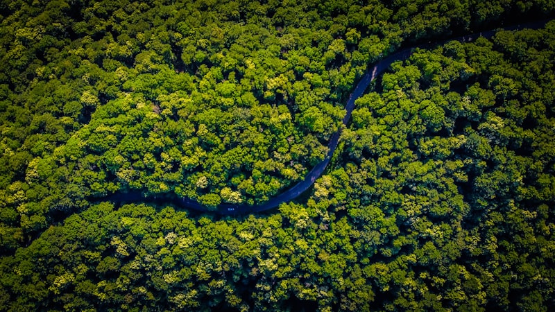 Environment and Intelligence