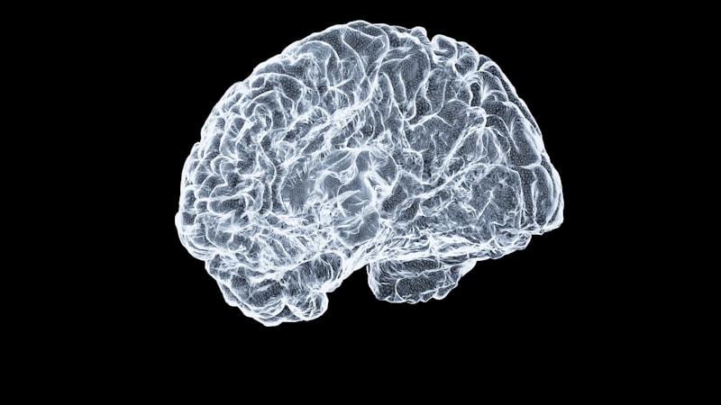 Evolutionary Cognition: Why Your Brain Plays Tricks