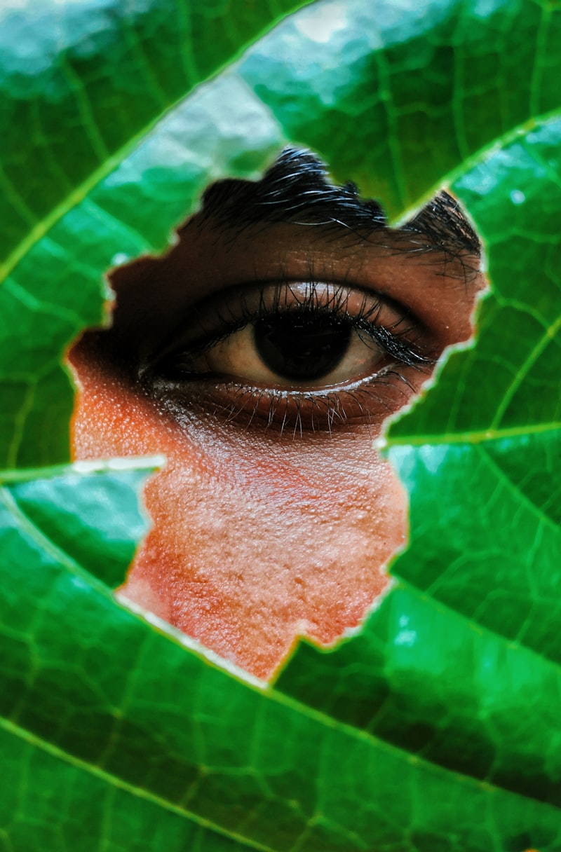Evolutionary Perception: Why Our Senses Guide Survival