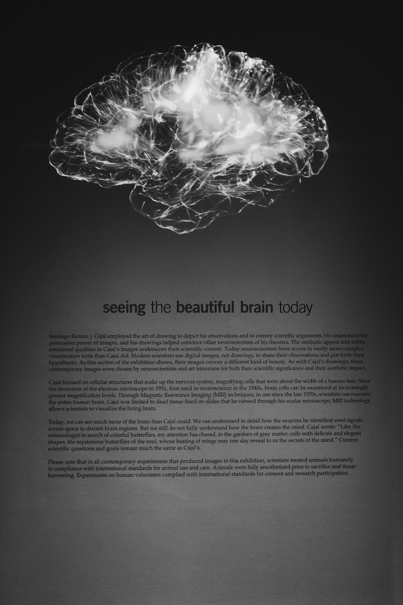 Forgetting: How the Brain Clears Space