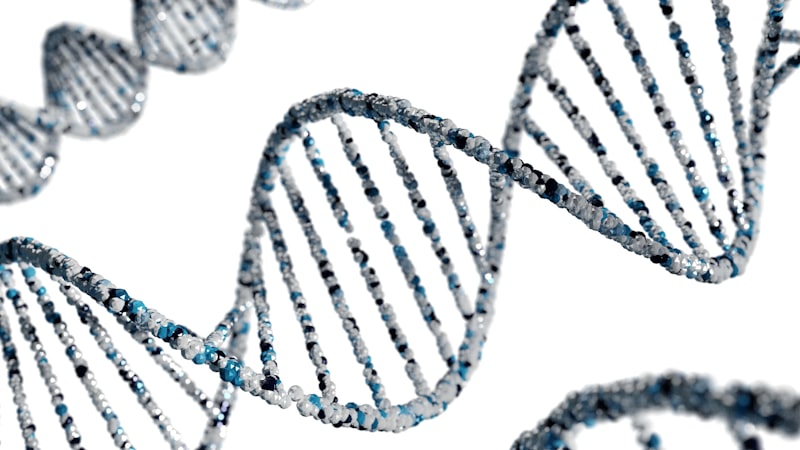Genetic Epistemology: How We Build Our Understanding