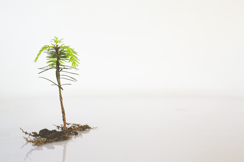 GROW Model