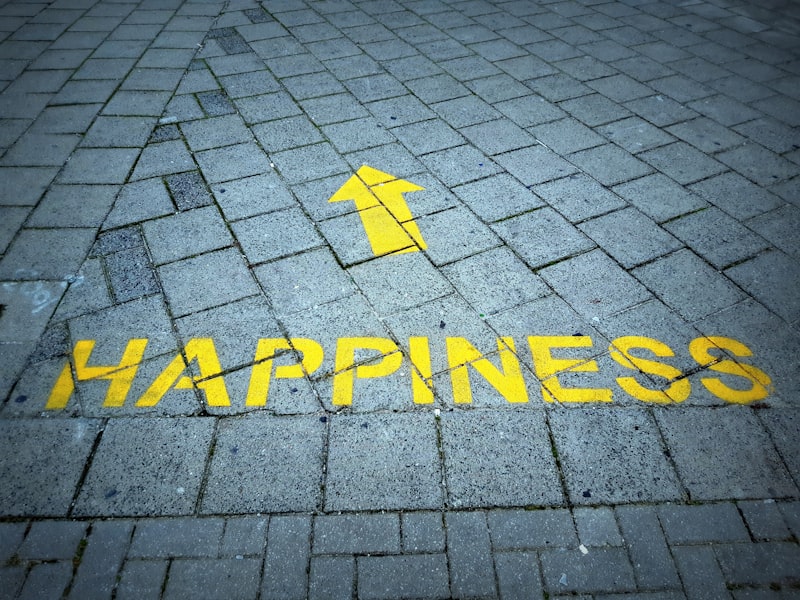 Happiness Economics: Redefining Value Beyond Wealth