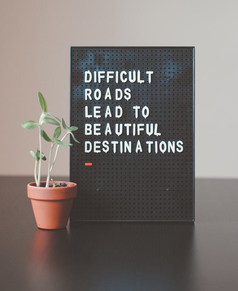 Intrinsic Motivation