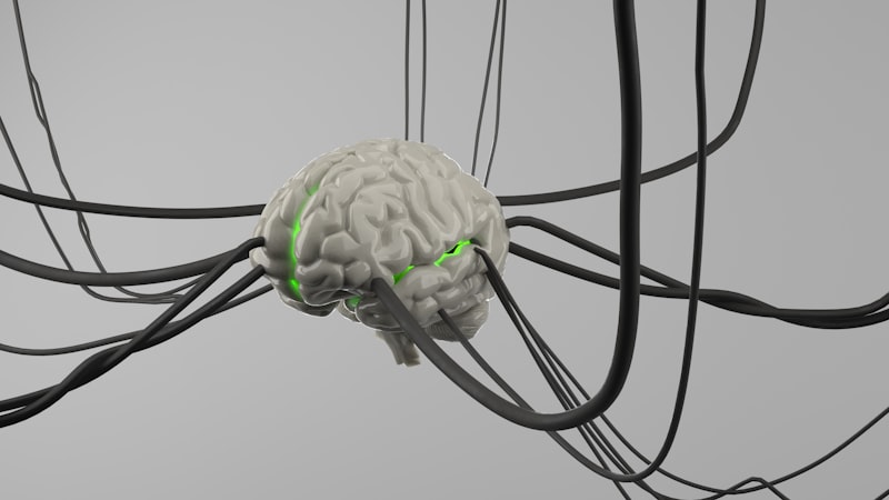 Memory Inhibition