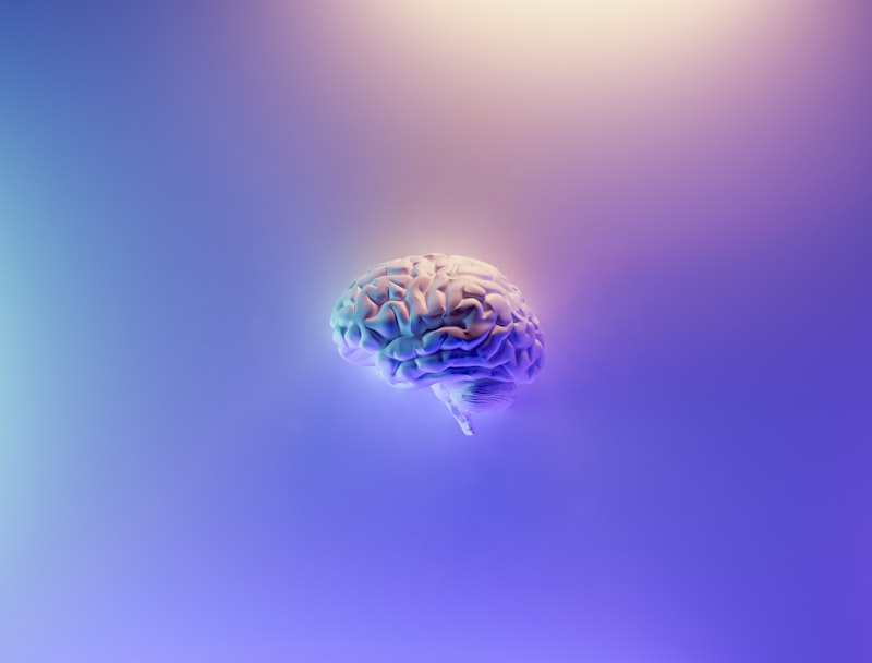 Metastability in the Brain
