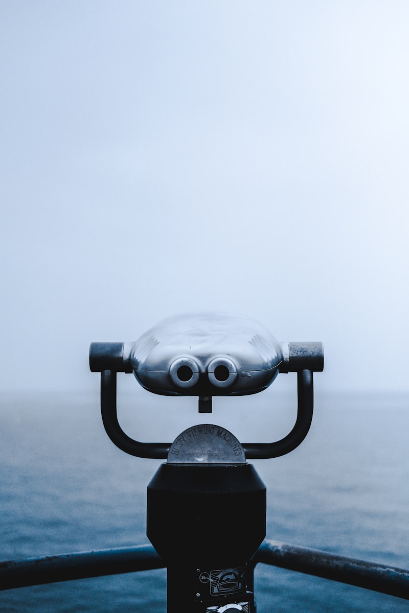 Monocular Rivalry