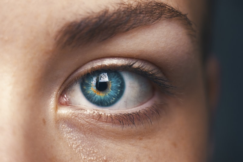 Ocular Dynamics: Decoding the Science of Your Vision