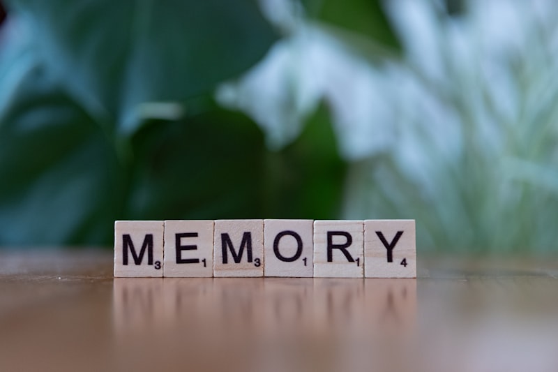 Organization and Mnemonic Techniques to Improve Memory