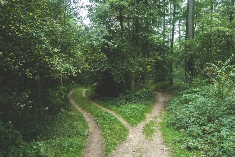 Path Dependence