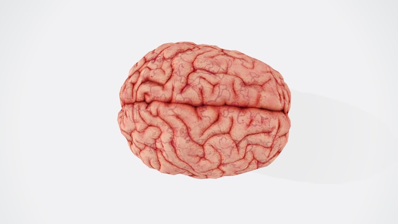 Perceptual Psychology: Why Your Brain Deceives You
