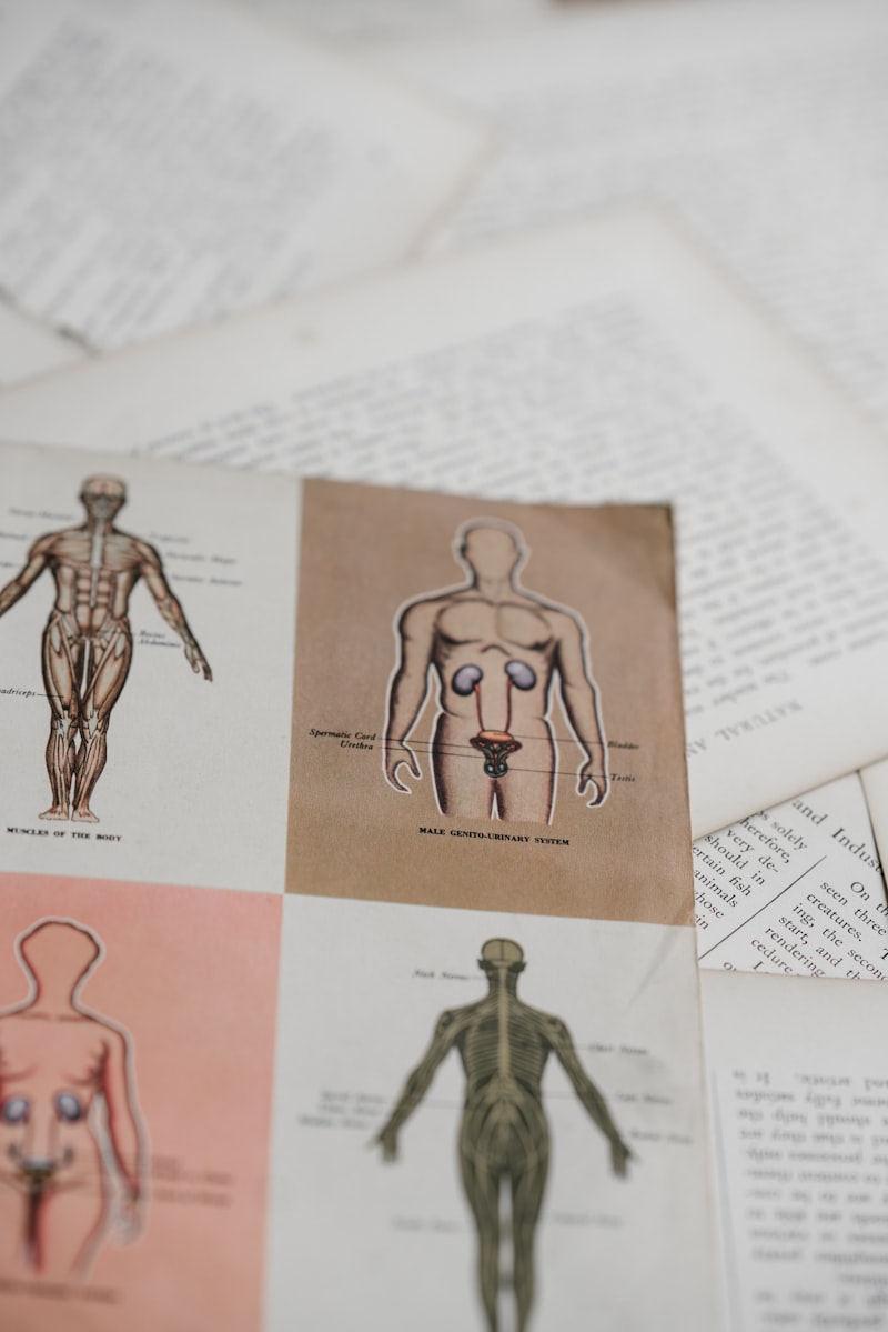 Proprioception: Your Body's Secret Sense of Self