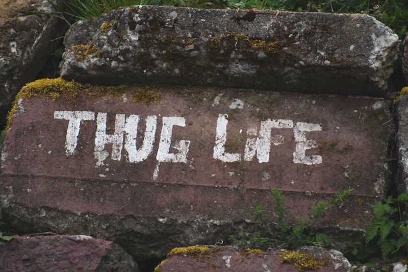 Quality of Life: Beyond Wealth to True Well-being