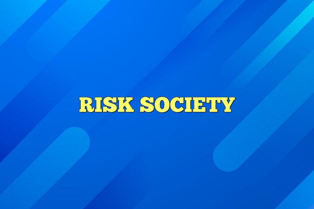 risk society