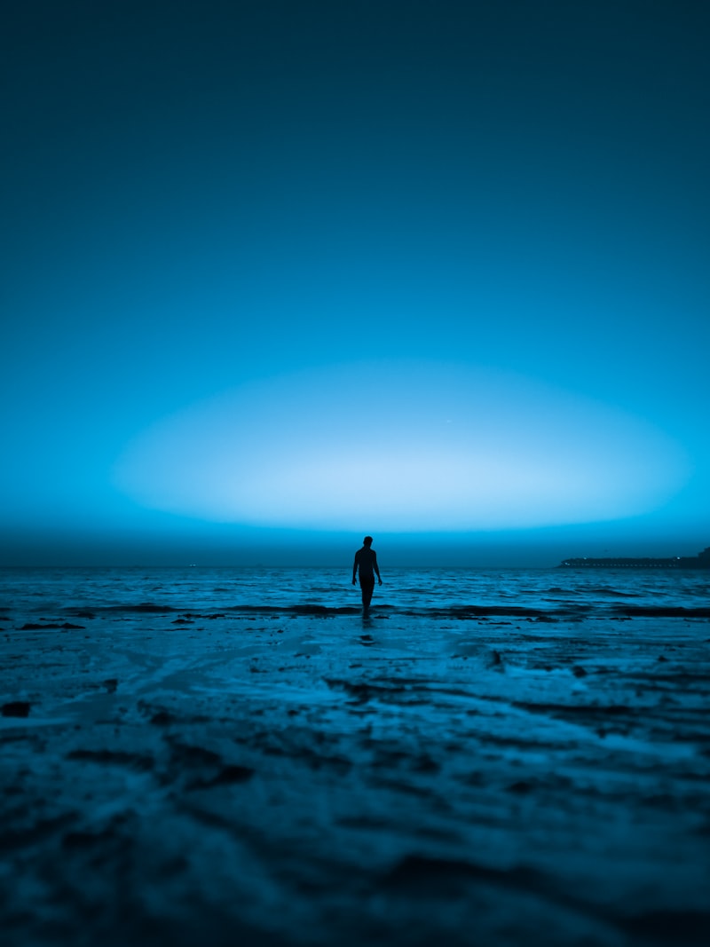 Schizoid Personality: The Solitary Inner World