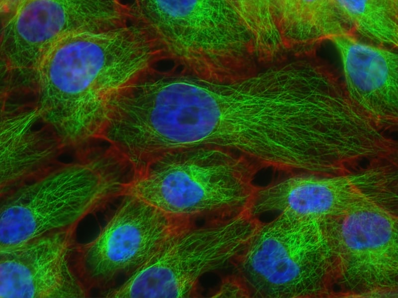 The Chemoreceptor Trigger Zone: The Biology of Nausea