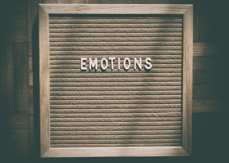 The Sociology of Emotion: Why Your Feelings Shape Society