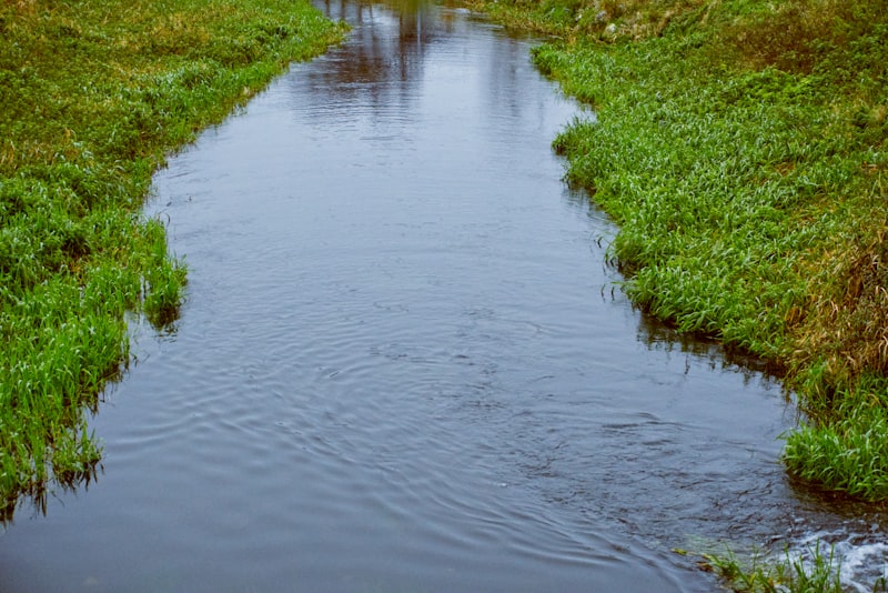 Two-streams Hypothesis