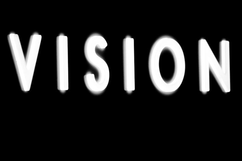 Visual Perception