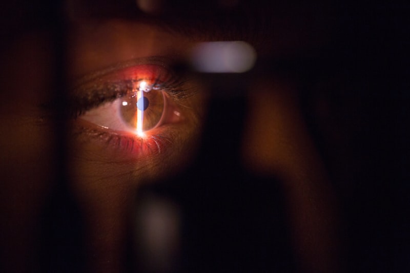 Visual Phototransduction: How Light Becomes Human Sight