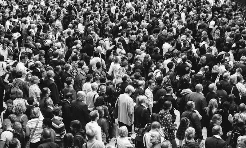 Visual Search: How Your Mind Finds Targets in the Crowd