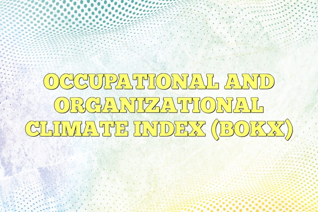 occupational and organizational climate index bokx