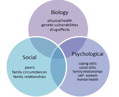 Biopsychosocial Model Psynso