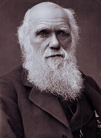 Charles Darwin Psynso