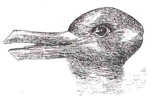 Duck Rabbit Illusion Psynso