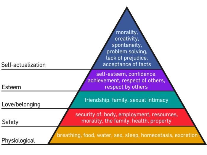 Maslows Hierarchy of Needs Psynso 1