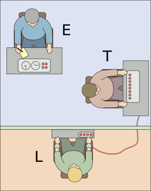 Milgram experiment Psynso 1