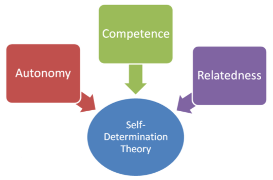 Self Determination Theory Psynso