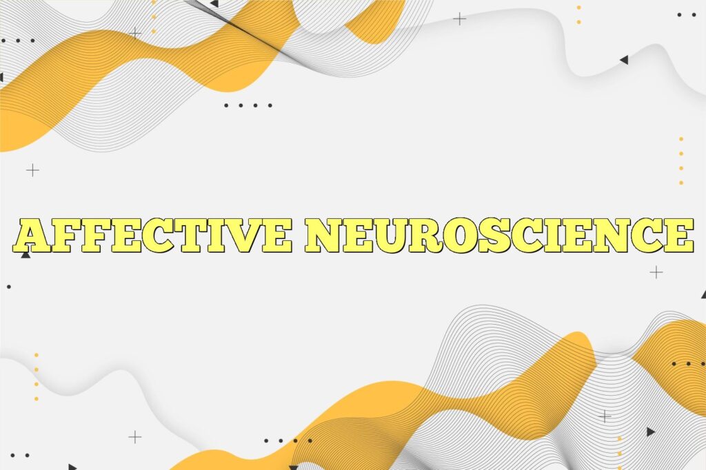 affective neuroscience