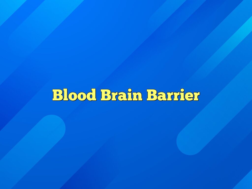 blood brain barrier