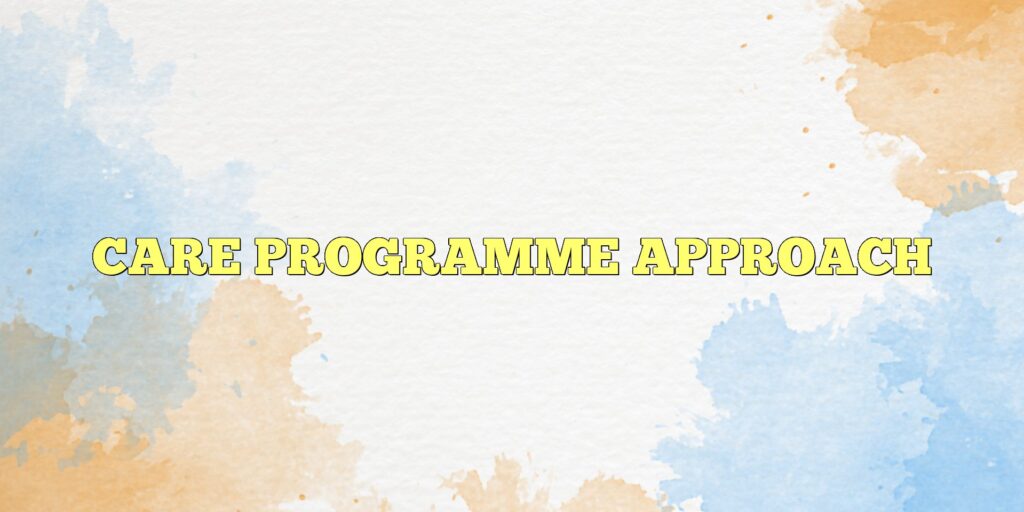 care programme approach