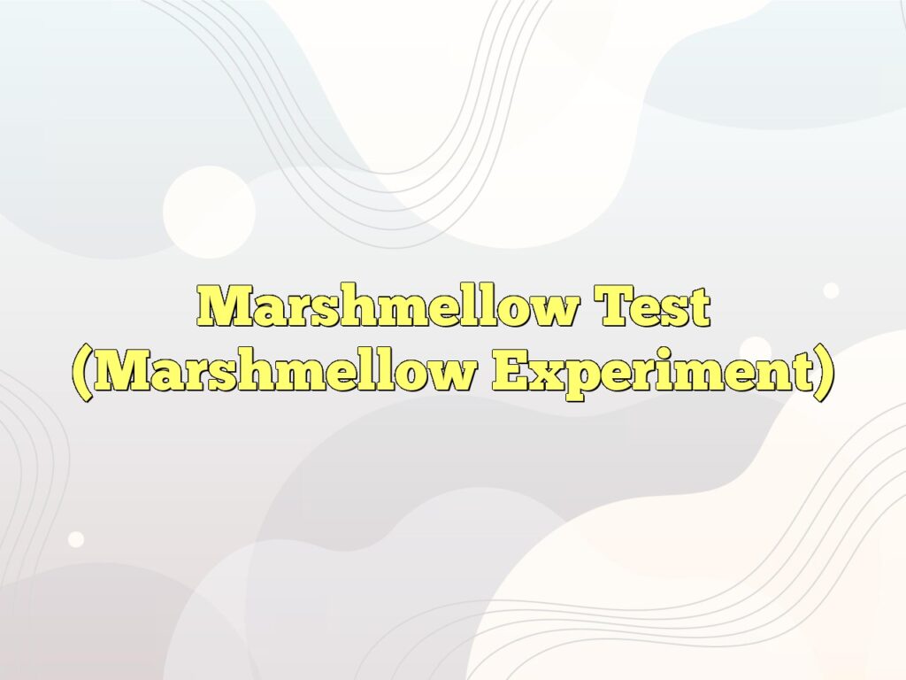 marshmellow test marshmellow experiment