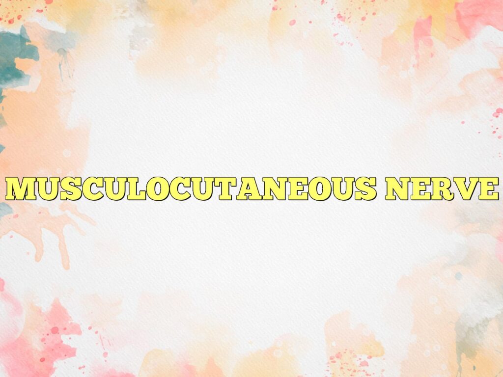 musculocutaneous nerve
