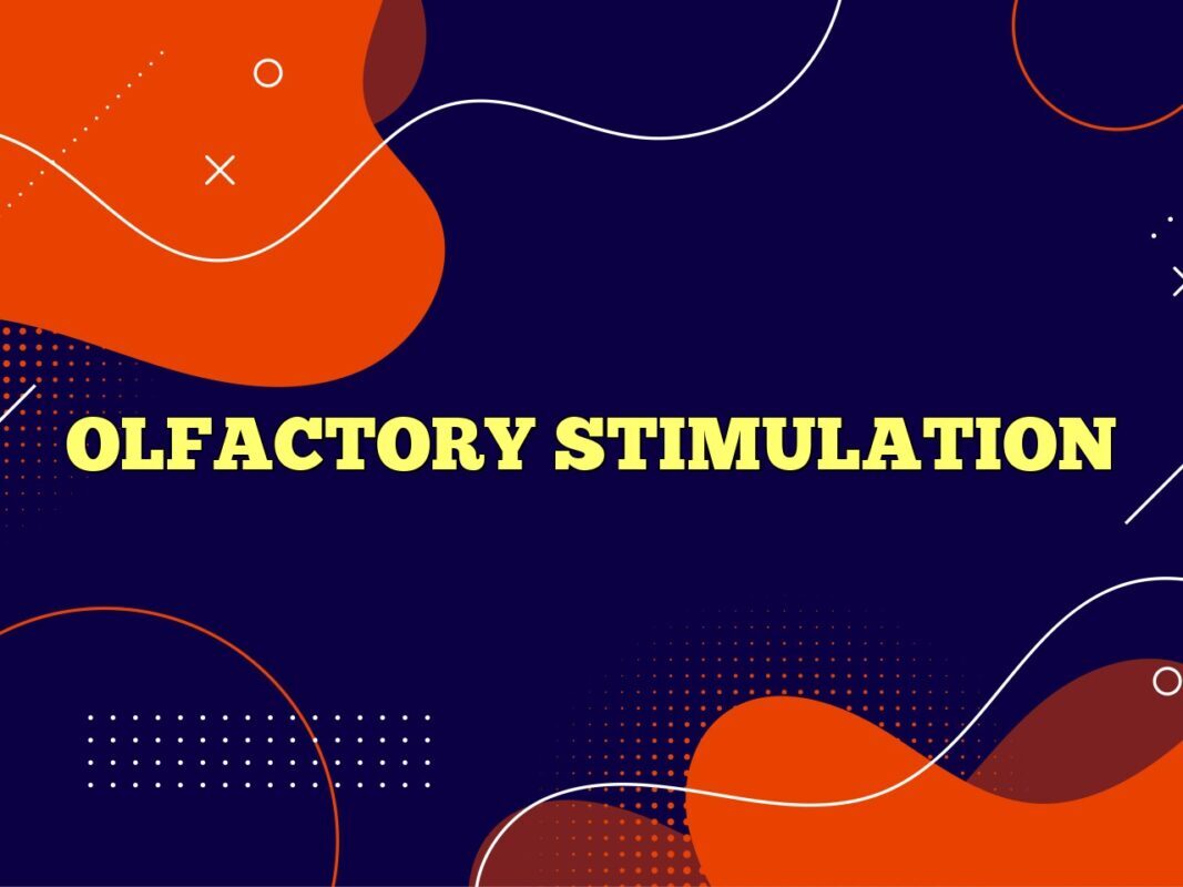 Olfactory Stimulation Definition Meaning