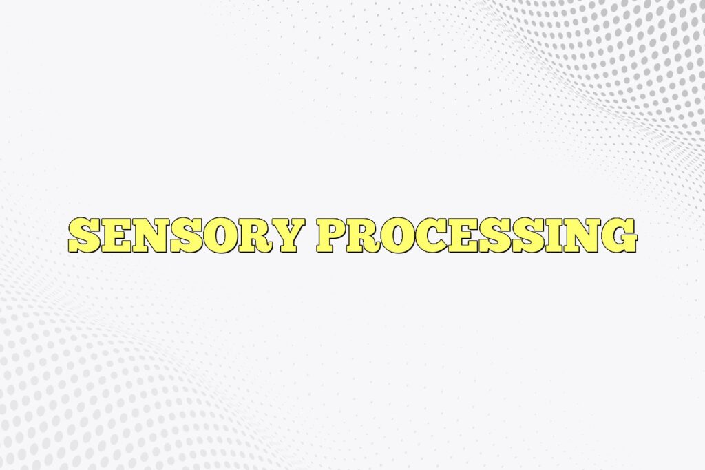 sensory processing
