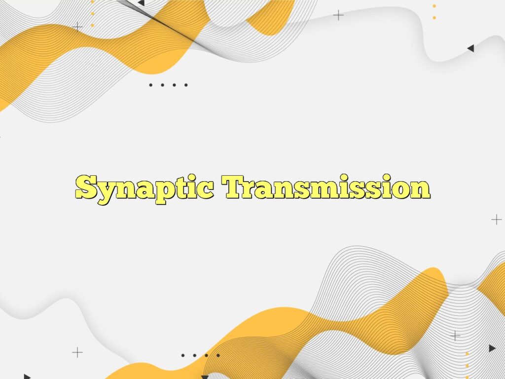 synaptic transmission