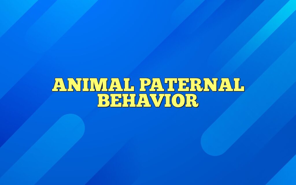 animal paternal behavior