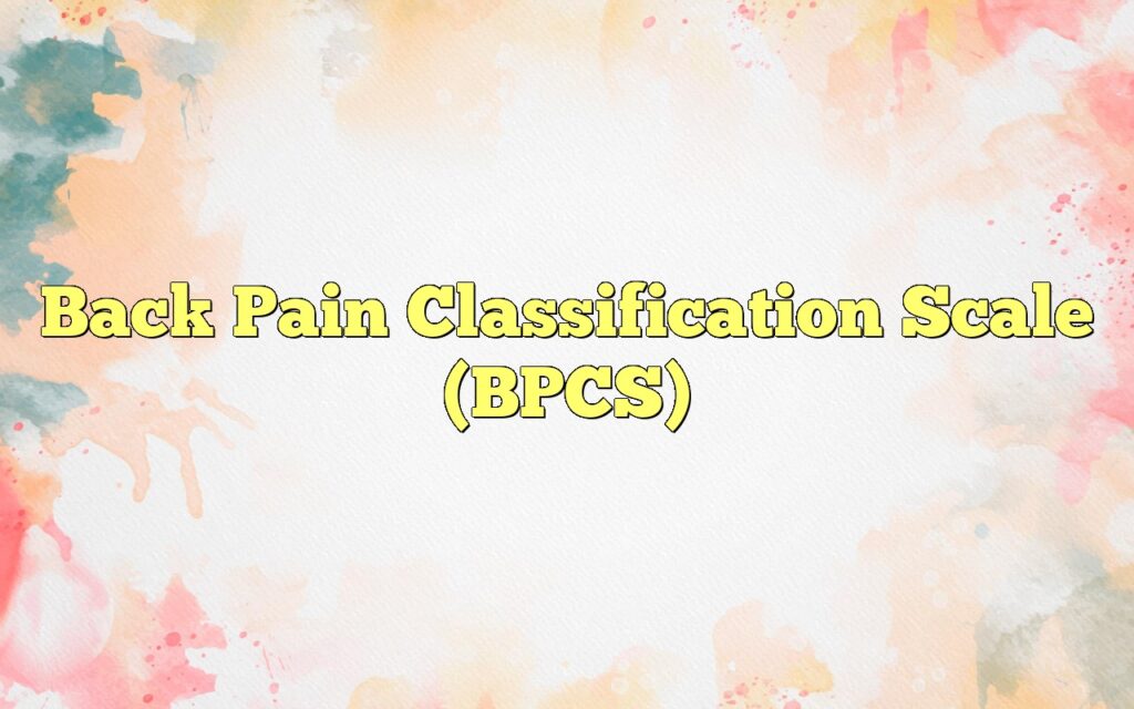 back pain classification scale bpcs