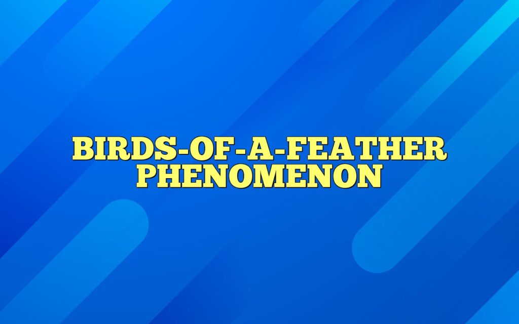 birds of a feather phenomenon