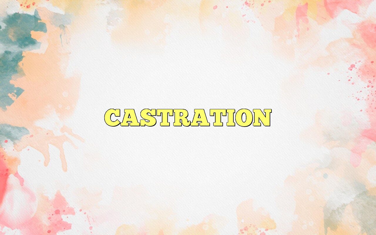 CASTRATION Definition & Meaning